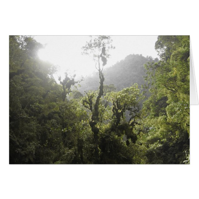 Cartão Parque Nacional Manu (Frente Horizontal)