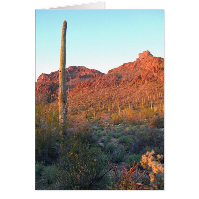 Cartão Parque nacional Saguaro (Frente)