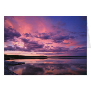 Cartão Parque Nacional Yellowstone, Wyoming. EUA.