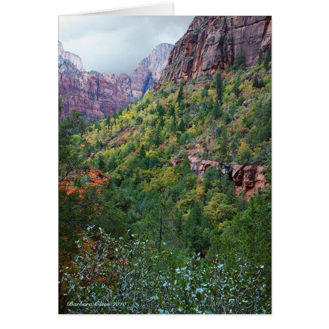 Cartão Parque Nacional Zion Canyon (Frente)