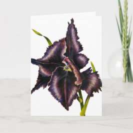 Cartão Parrot Tulip