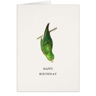 Cartão Parrotlet Happy Birthday Card