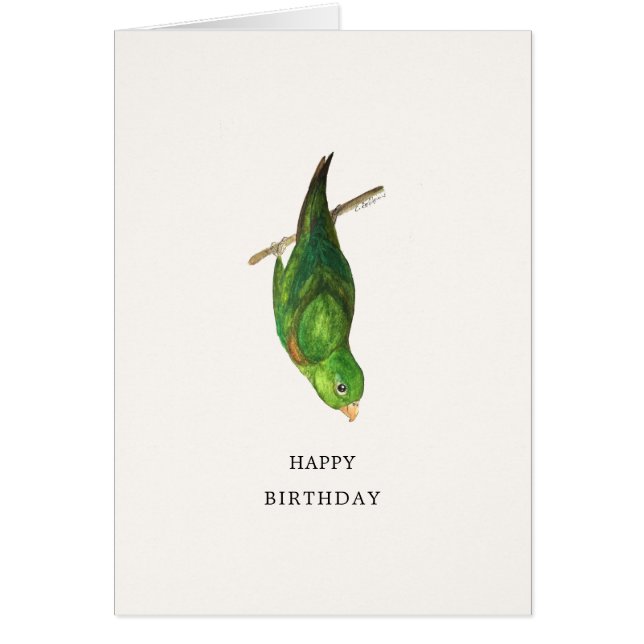Cartão Parrotlet Happy Birthday Card (Frente)