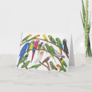 Cartão parrots greeting card