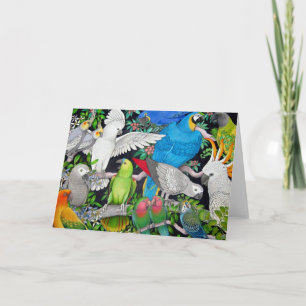 Cartão Parrots of the World Card
