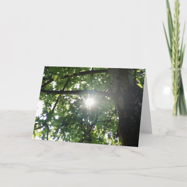 Cartão Parte superior da árvore (Frente)