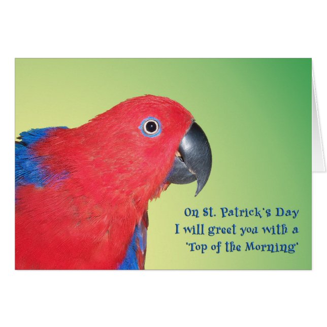 Cartão Parte superior da manhã (Frente Horizontal)