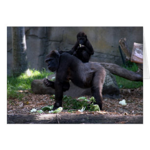 Cartão parte traseira do gorila