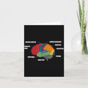 Cartão Partes da anatomia do cérebro diagrama colorido