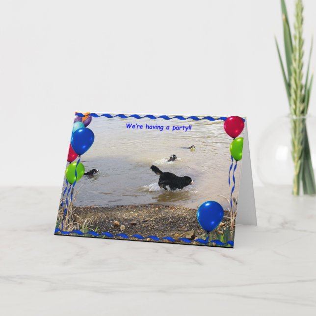 Cartão Partido do cão de montanha de Bernese (Frente)