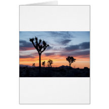 Partido Tree Park Personalizar Destino