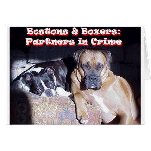 Cartão Partners - dentro - o crime