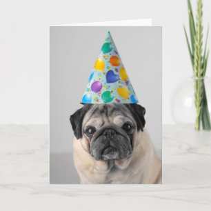 Cartão Party Pug