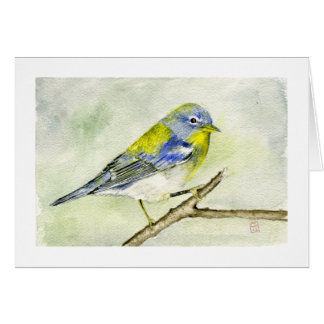 Cartão Parula do norte