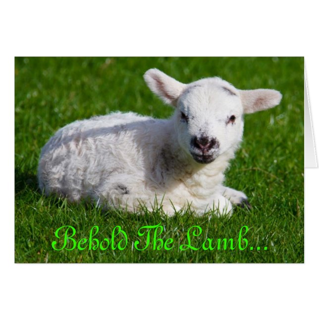 Cartão Páscoa Segure a lâmpada III (Frente Horizontal)