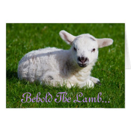 Cartão Páscoa Segure a placa de feriado da lâmpada