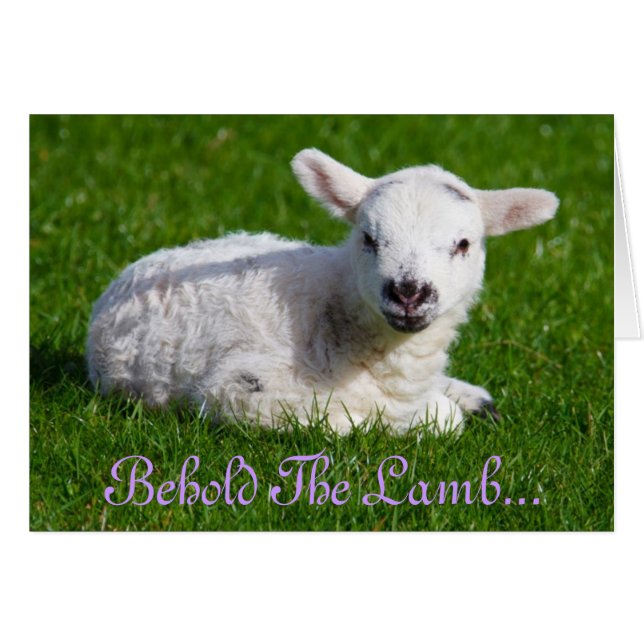 Cartão Páscoa Segure a placa de feriado da lâmpada (Frente Horizontal)