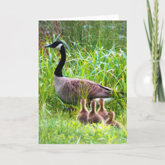 Cartão Passagem de Gansos