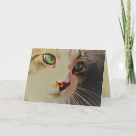 Cartão Passando Gato de Glança com Olhos Verdes