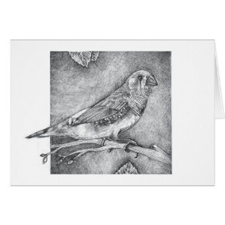 Cartão Passarinho de zebra