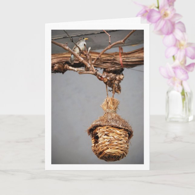 Cartão Pássaro Aparente Acima do Birdhouse (Orquídea)