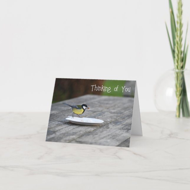 Cartão Pássaro Azul a Alimentar-se Pensando em você (Frente)