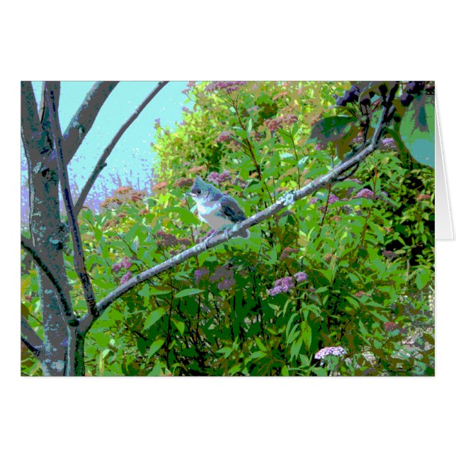 Cartão Pássaro Bebê Rachado com Titmouse Tufado (Frente Horizontal)