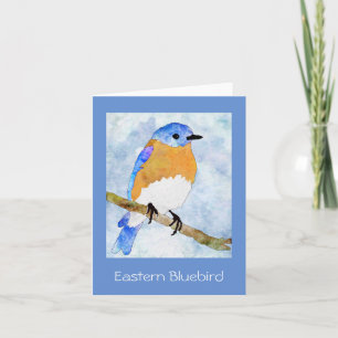 Cartão Pássaro Bluebird oriental - macho - cor d'água -