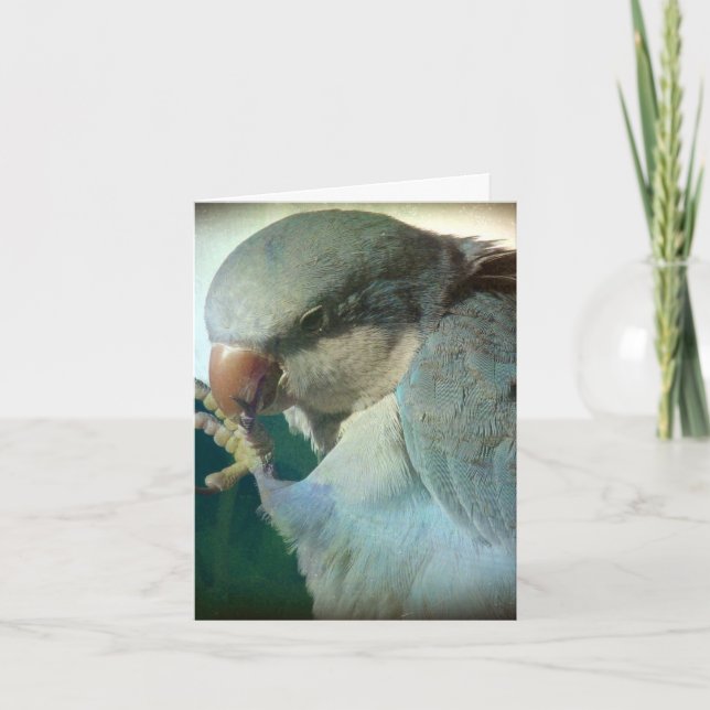 Cartão Pássaro bonito, aniversário (Frente)