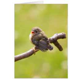 Cartão Pássaro bonito cantando feliz num dia de verão