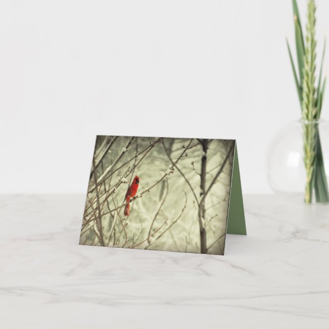 Cartão Pássaro cardinal do norte vermelho bonito (Frente)