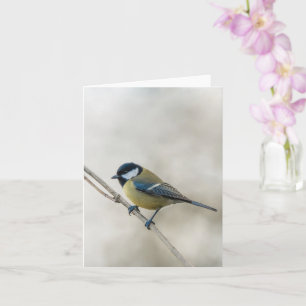 Cartão Pássaro chapim-real, natureza minimalista de inver