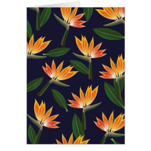 Cartão Pássaro da flor do paraíso