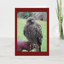 Cartão Pássaro da presa