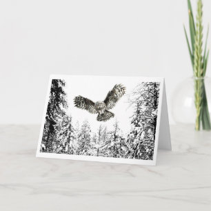 Cartão Pássaro de Coruja ou Coruja Original