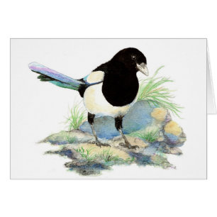 Cartão Pássaro de Jardim de Magpie de vazio
