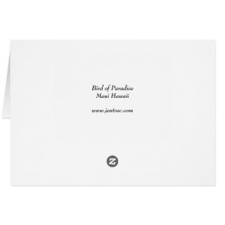 Cartão Pássaro de paraíso - Maui Havaí