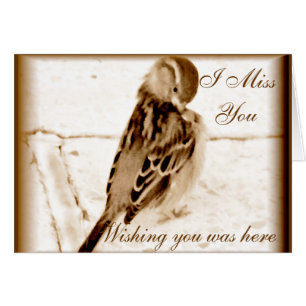 Cartão Pássaro do amor.