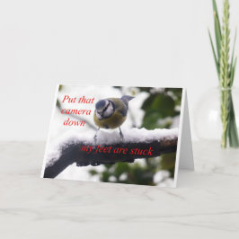 Cartão pássaro engraçado na neve