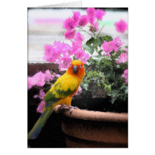 Cartão Pássaro exótico