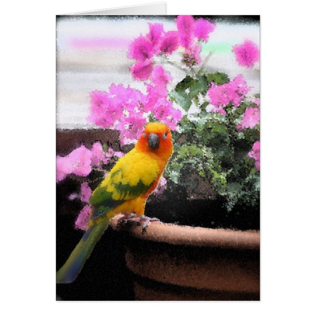 Cartão Pássaro exótico (Frente)