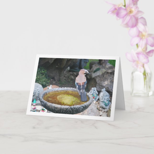 Cartão Pássaro Gaio Eurasiático no Banho de Pássaros (Orquídea)