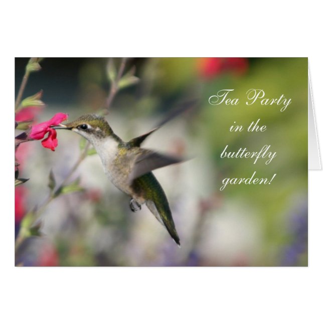 Cartão Pássaro Hummingno Voo (Frente Horizontal)