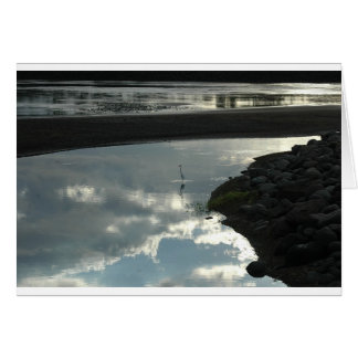 Cartão Pássaro na Água