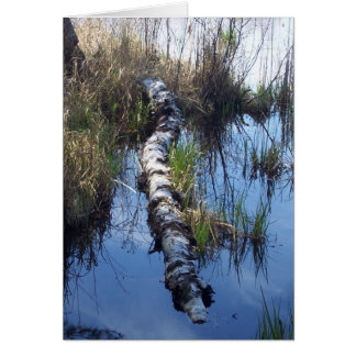 Cartão Pássaro na Água