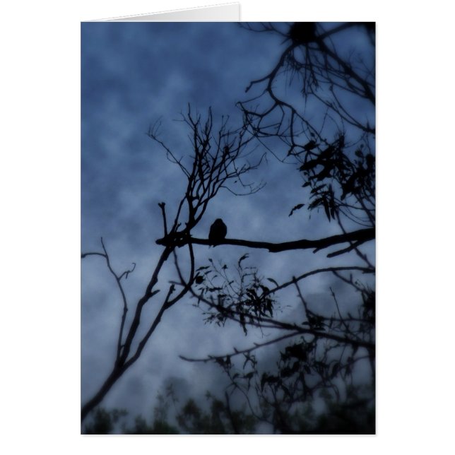 Cartão Pássaro Nevoeiro da Manhã no Cartaz (Frente)