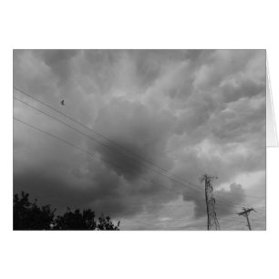 Cartão Pássaro no Cloudscape/Noir