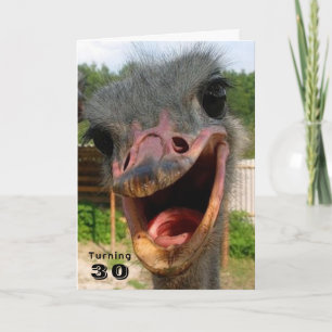 Cartão Pássaro Ostrich Engraçado Transformando 30 Anivers