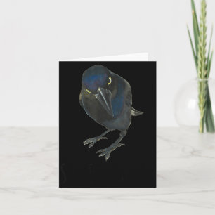 Cartão Pássaro Preto De Gracula Preta Seriamente Mpy