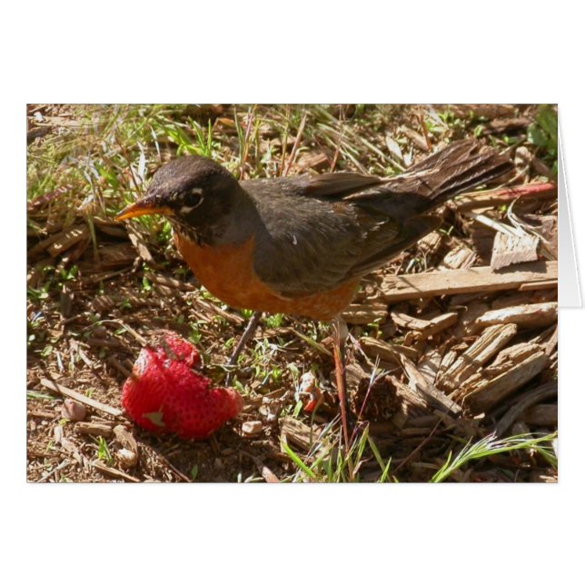 Cartão Pássaro primitivo recebe... (Frente Horizontal)